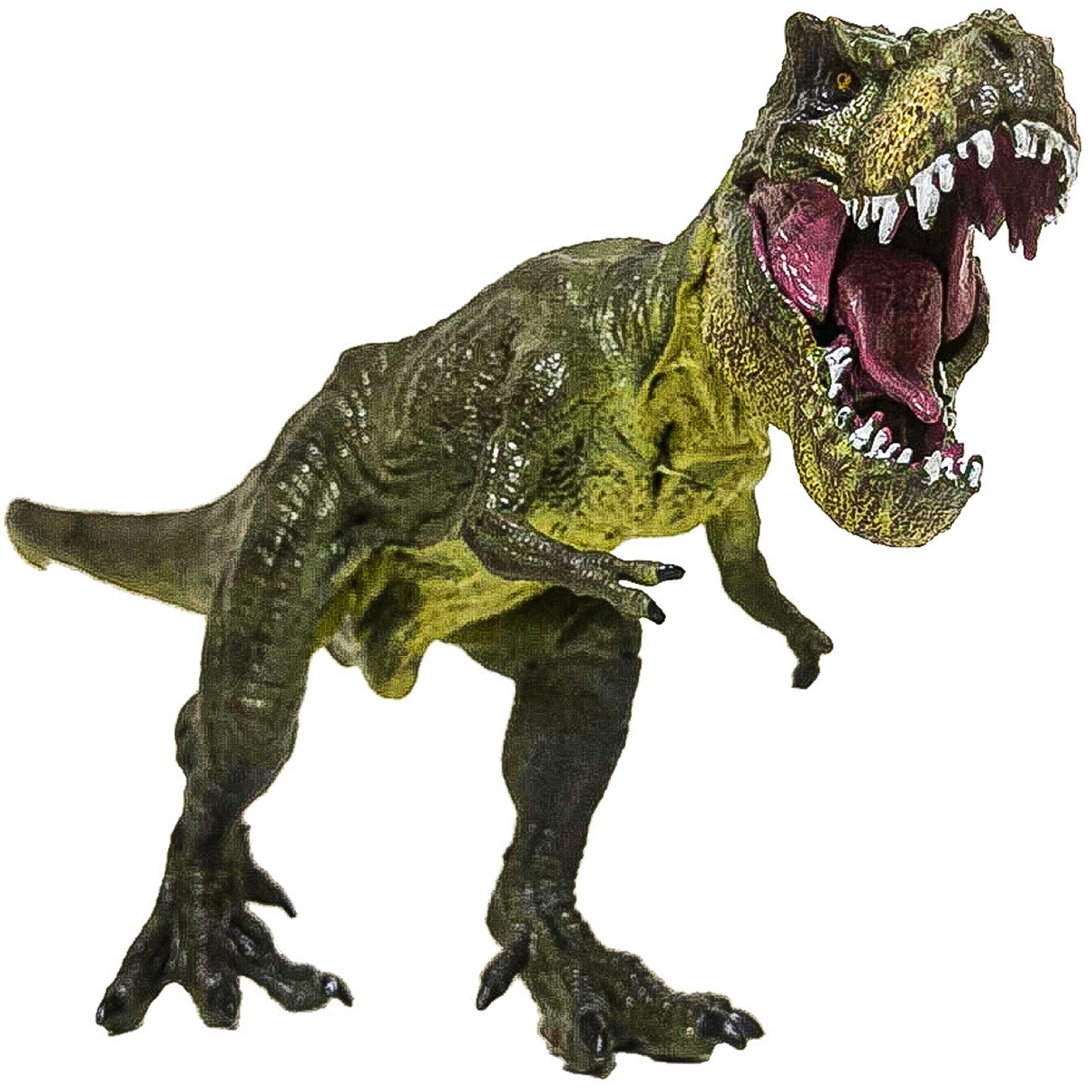 ティラノサウルス フィギュア ビッグサイズ Amazon | Tinsow 12インチ Lサイズ T-Rex 恐竜玩具 ビッグ